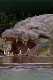 Gustave the Crocodile