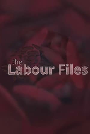 The Labour Files