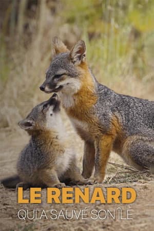 Le renard qui a sauvƩ son Ʈle