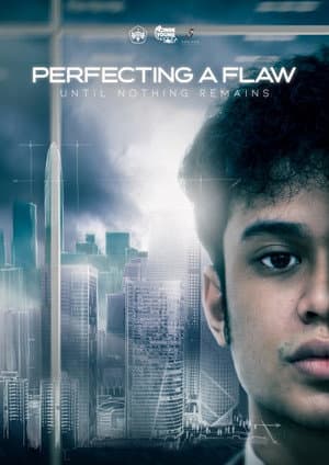 Perfecting A Flaw Until Nothing Remains