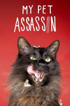 My Pet Assassin