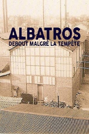 Albatros, debout malgrĂ© la tempĂȘte