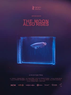 The Moon Also Rises