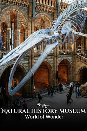 Natural History Museum: World of Wonder