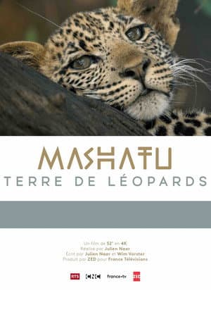 Mashatu: Land of Leopards