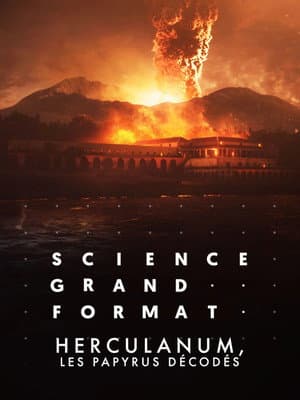 Herculanum, les papyrus décodés