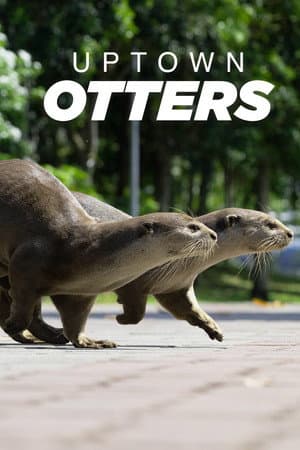 Uptown Otters