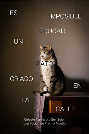 Es Imposible Educar Un Gato Criado en la Calle