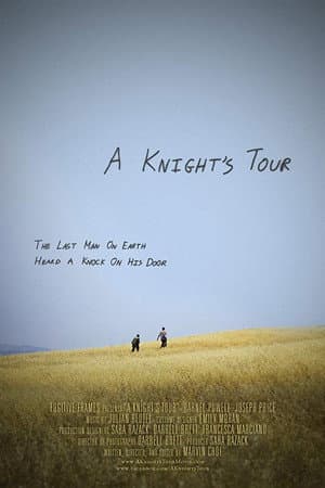 A Knight's Tour