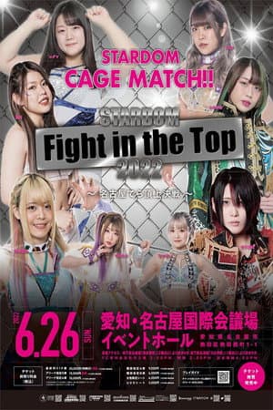 Stardom Fight in the Top 2022 ~Nagoya Summit Battle~