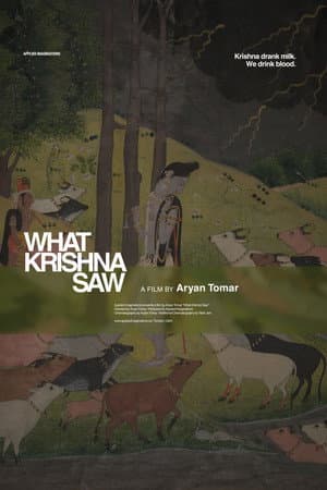 What Krishna Saw
