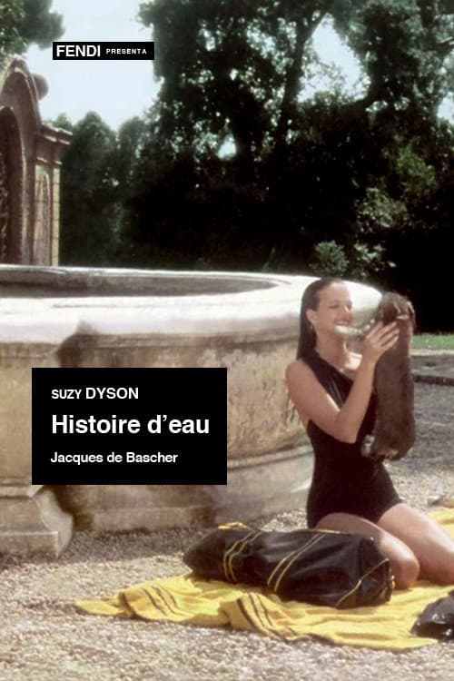 Histoire d'eau poster