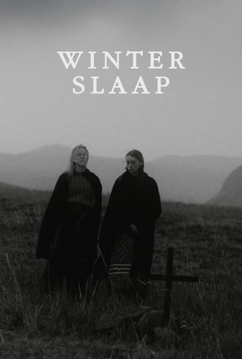 Hibernation poster