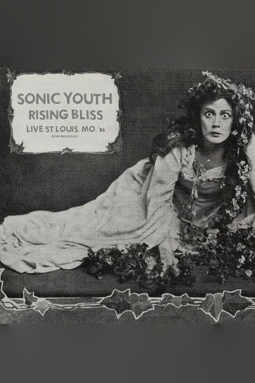 Sonic Youth: Mississippi Nights, St. Louis poster