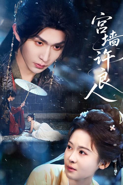 宫墙许良人 poster