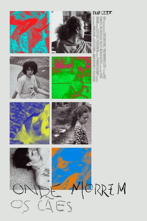 Onde Morrem os Cães poster