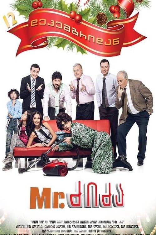 Mr. Nanny poster