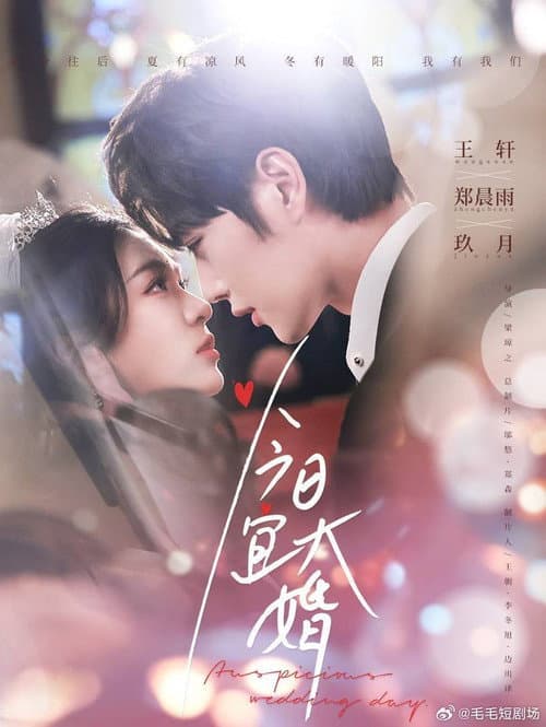 今日宜大婚 poster