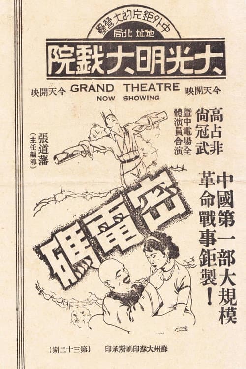 The Secret Code poster
