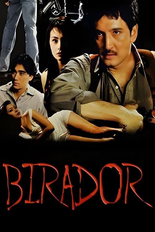 Birador poster