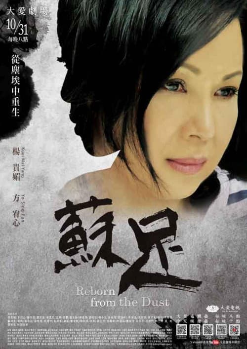 苏足 poster