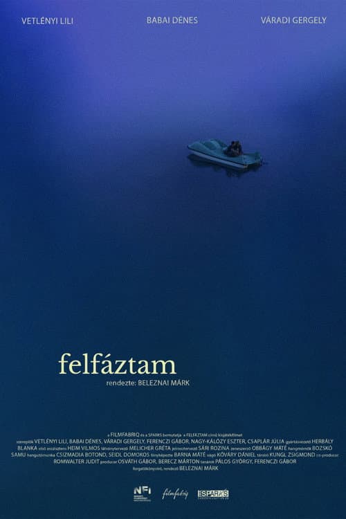 Summer Cold poster