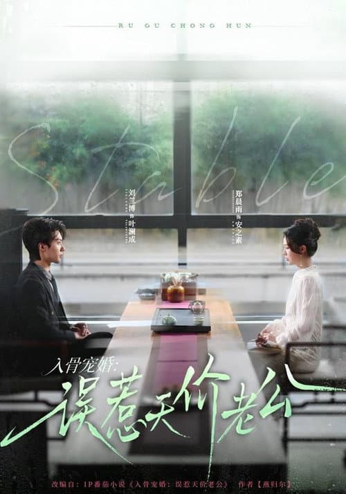 入骨宠婚：误惹天价老公 poster