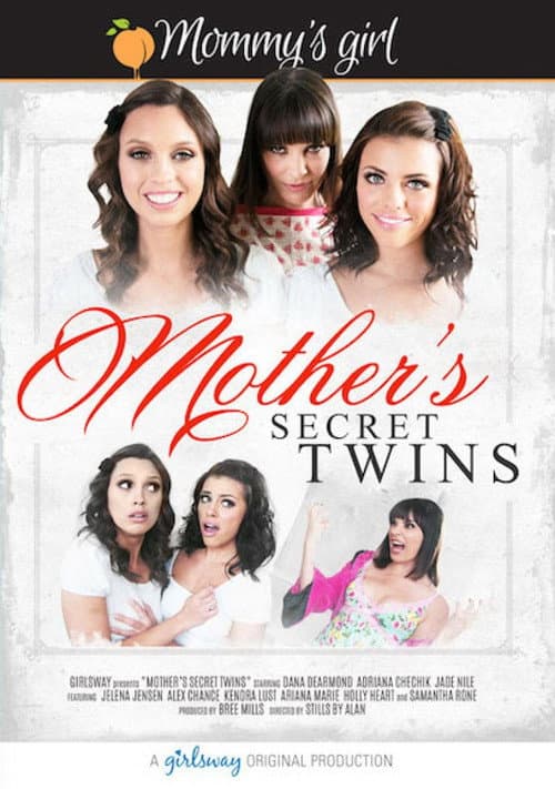 Mother's Secret Twins poster