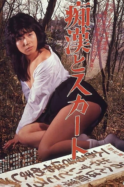 Chikan to sukāto poster