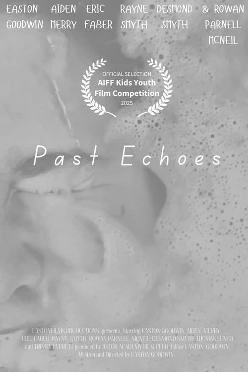 PAST ECHOES poster