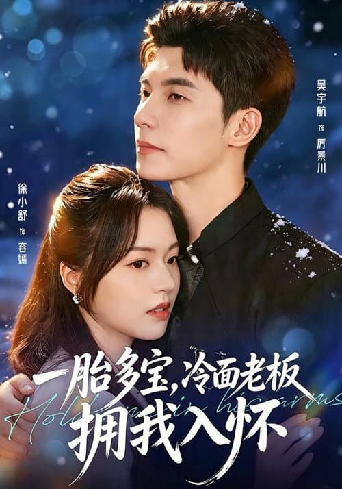 一胎多宝，冷面老板拥我入怀 poster