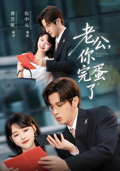 老公，你完蛋了 poster