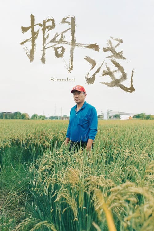 Stranded poster