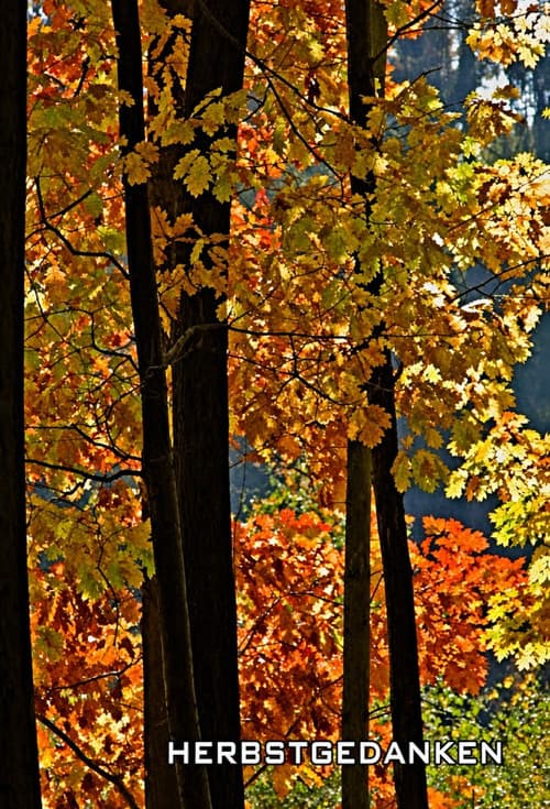 Herbstgedanken poster