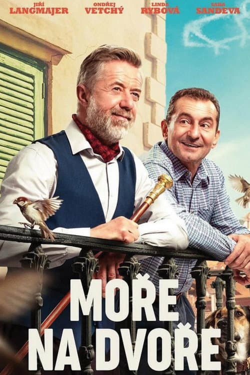 Sea of Hope poster