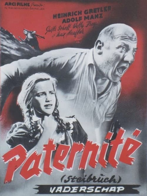 Steibruch poster