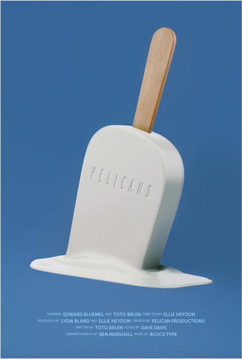 Pelicans poster