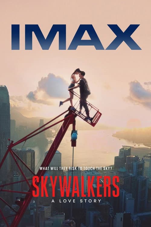 Skywalkers: A Love Story poster