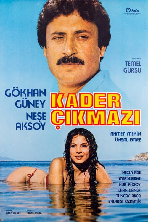 Kader Çıkmazı poster