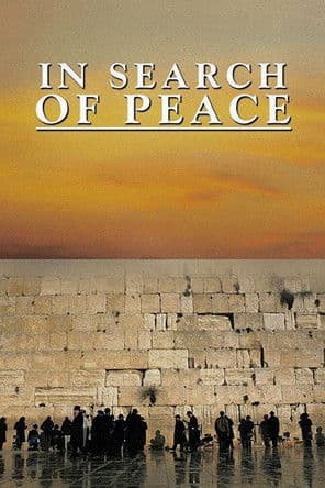 In Search of Peace poster