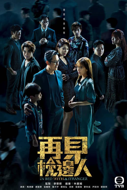 In Bed With A Stranger poster