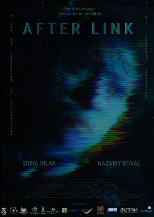 After Link poster