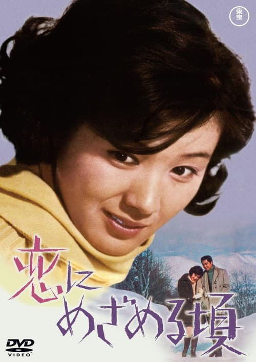 When Love Awakens poster