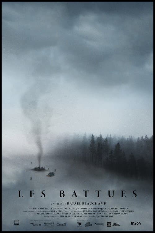 The Fading poster