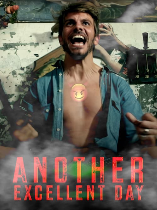 Another Excellent Day poster