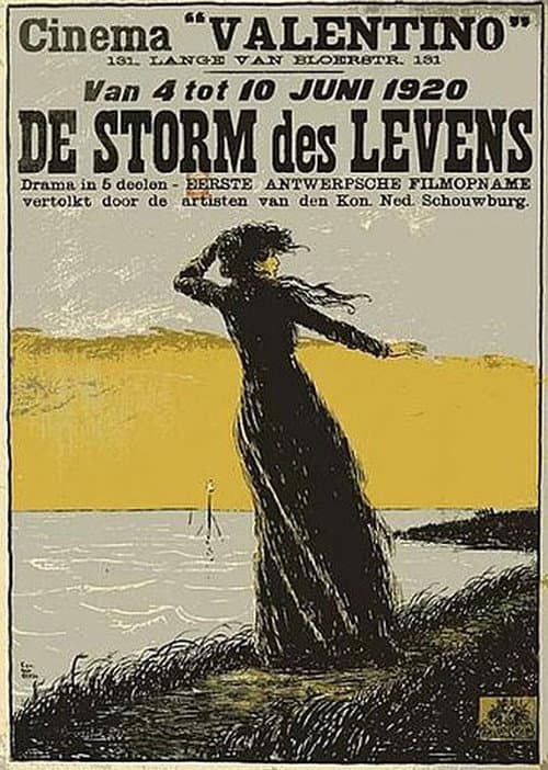 The Storm in Life poster