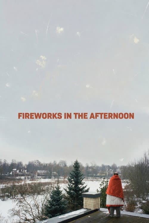 Fireworks in the Afternoon poster
