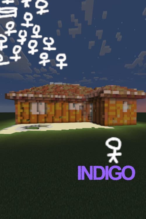 INDIGO poster