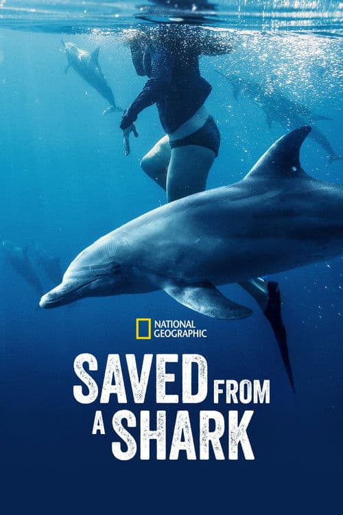 Saved from a Shark poster