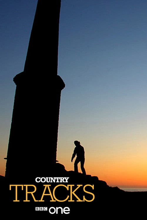 Country Tracks poster